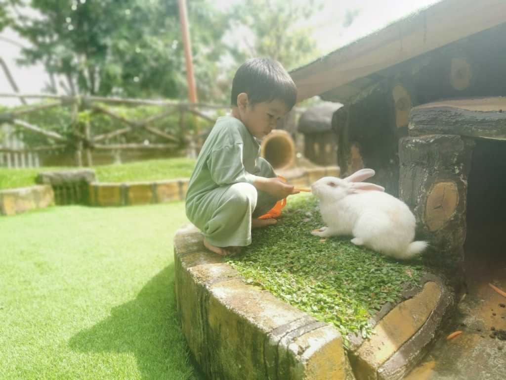 rumah kelinci