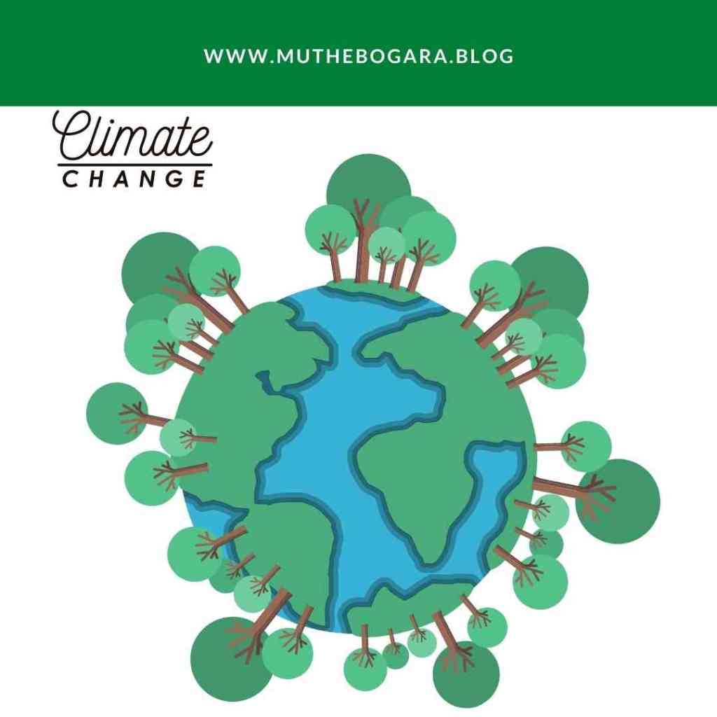 Enam Wajah Hutan dalam Memitigasi Perubahan Iklim